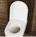 Toilet Seat Attachments